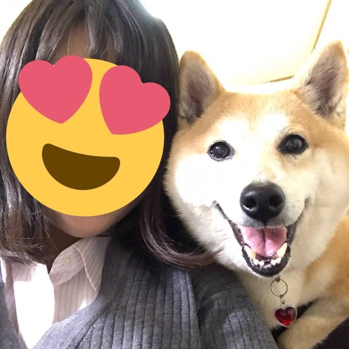 Deb4eb8a b855 417e b93d a7a47586ff56