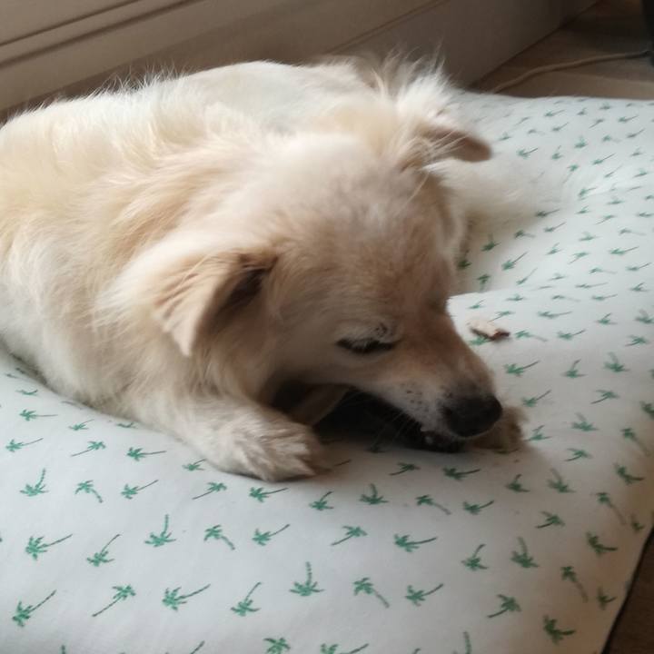 Deb58fdf ab89 4177 8843 e8912e48e308