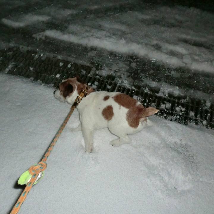 Deb62a89 ac2d 4b65 86ac 1e81d7f27c9b