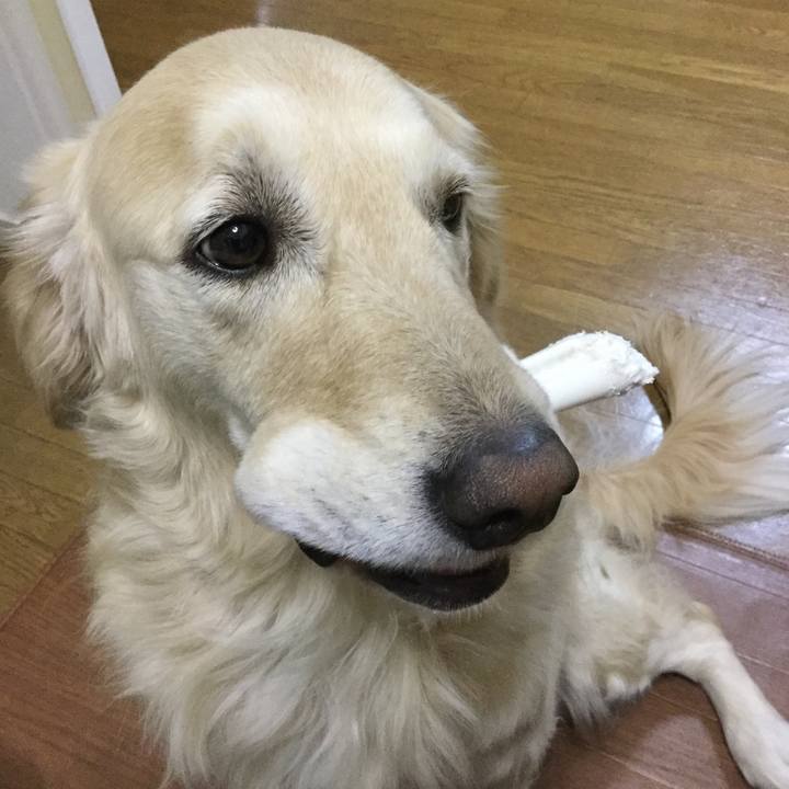 Deb69a31 fb7c 4f7d bd52 c0473b25cdb4