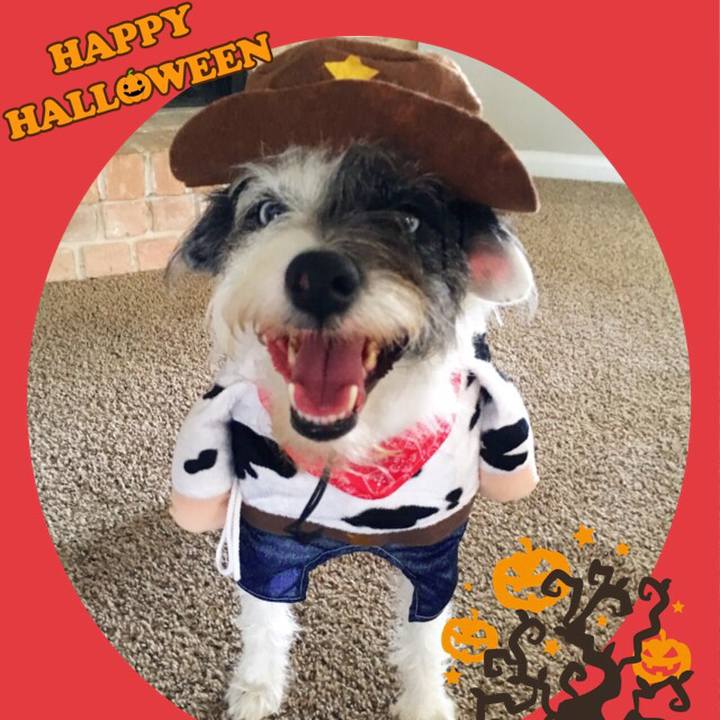 Deb6a9e4 8684 45fe 9518 8309b727d211