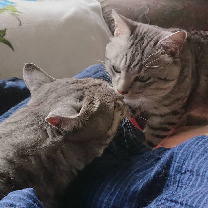 Deb705a9 ae6f 4b40 957f 670ac09ada5f