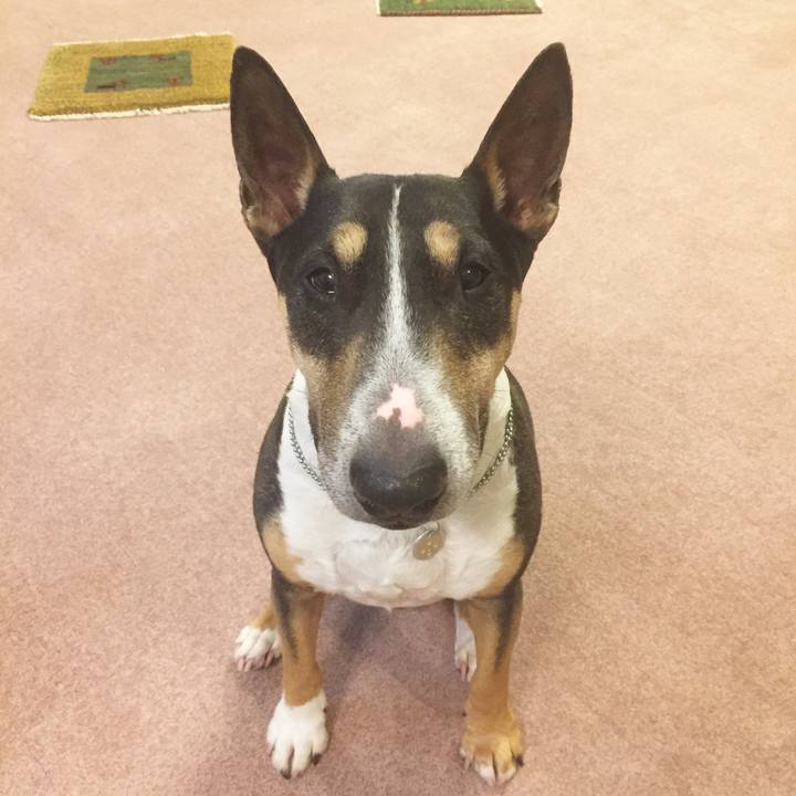 Deb7406f ab1e 48f8 a7ab e751af862a93