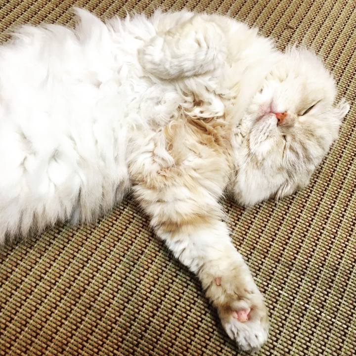 Deb78b32 b65d 48f9 8f6f 52dcfcda1bc5