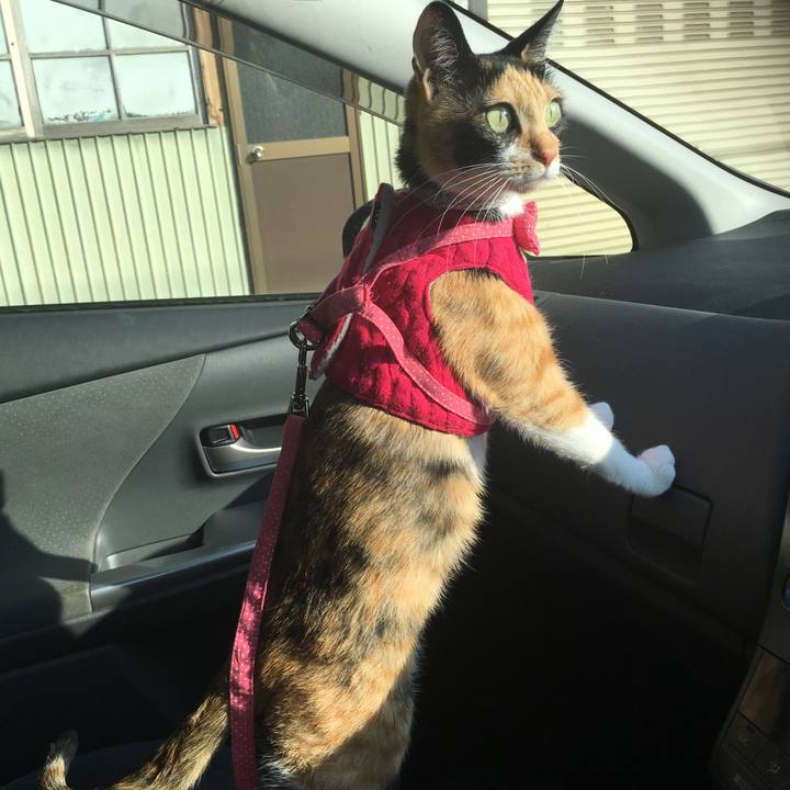 Deb8154f 86b7 4d6e a4dc e01e6c99f7e3