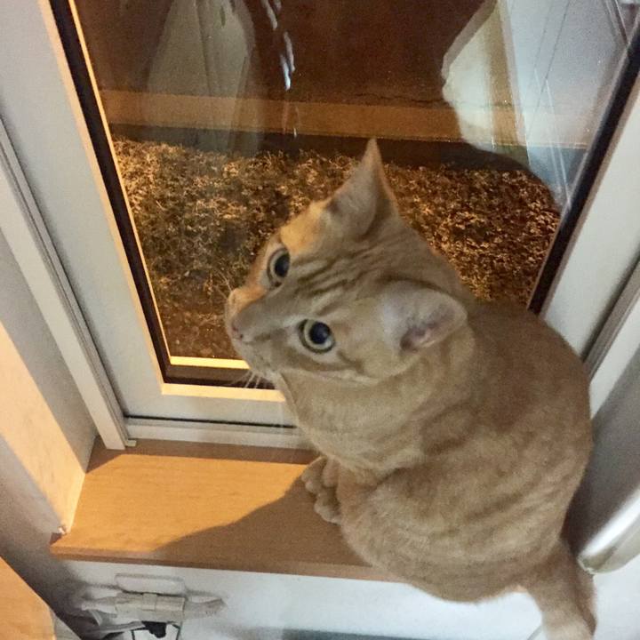 Deb81e19 bf43 4932 aee3 805578d3c42d