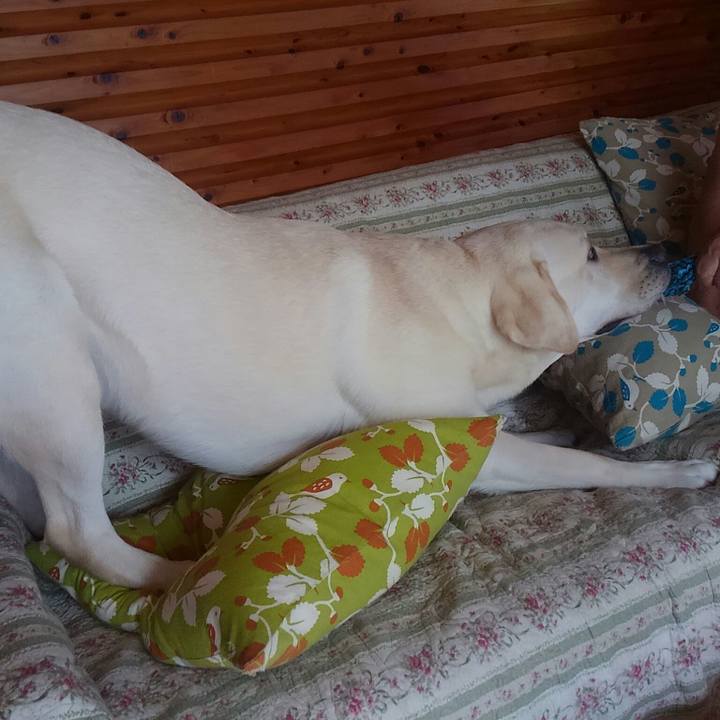 Deb8f7bf e8b5 4212 b29f 9bb8855bdae8