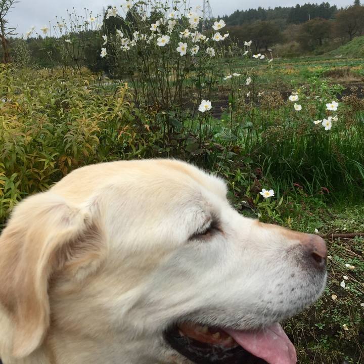 Deb9e5e9 86ed 4fcf b78c 9289c20436fc