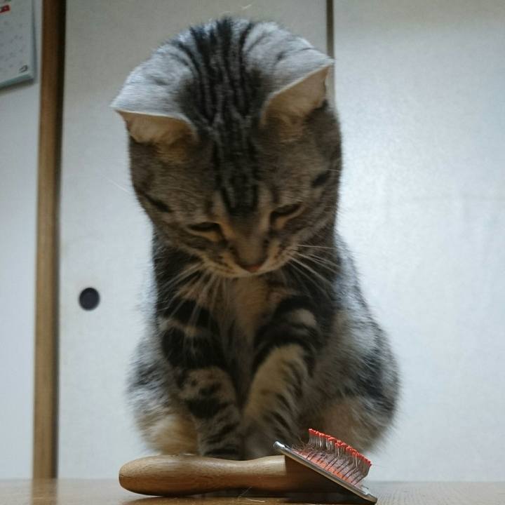 Deb9f404 3e94 41e0 bff6 3ada1c7b5720