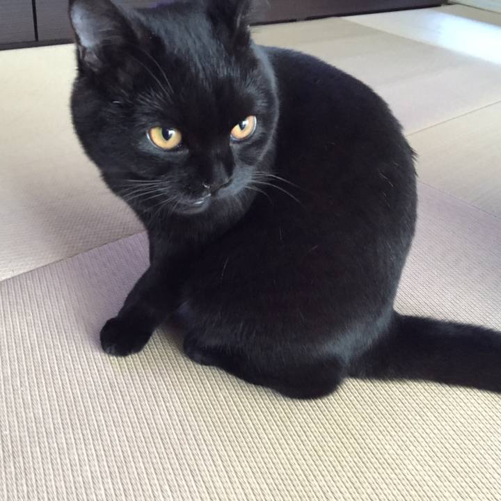 Deba68a8 4acf 4fb1 b70c f37f935288ca