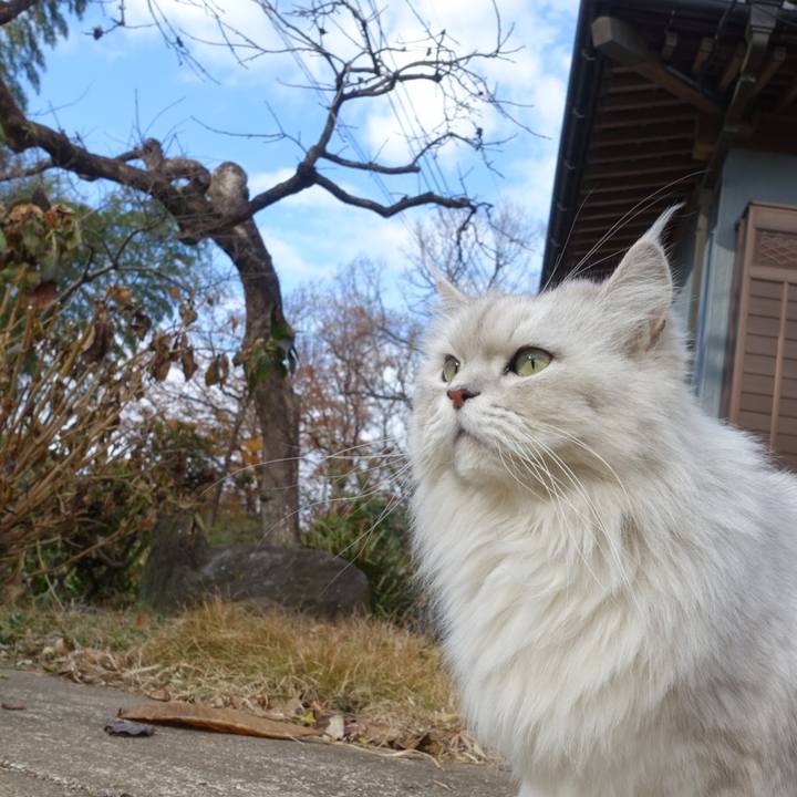 Debcc105 129c 4618 ac39 9fb446bcbb14