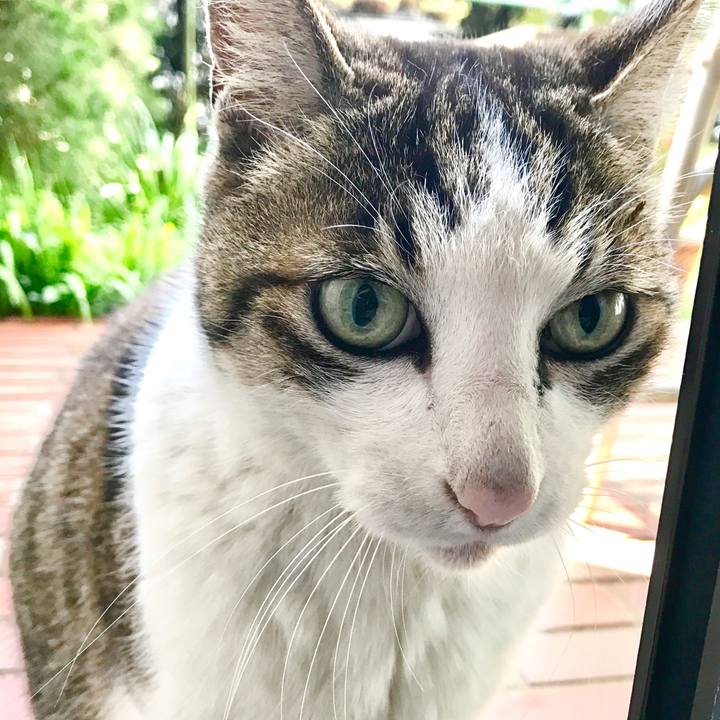 Debda3fb a190 4cf1 8c79 9bc1f1b749ca