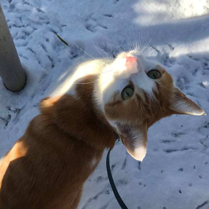 Debdb6ed 9f73 4fea a178 62907f009f73