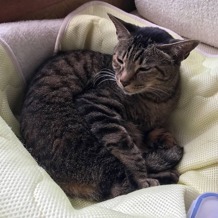 Debec233 a035 4e6e bc52 76e4a9ffb9de