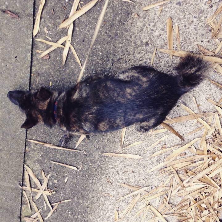 Debed8e0 c1a9 498f a0a0 cdd7dbd355af