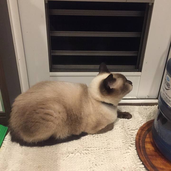 Debf2593 46a4 417d a88a fbb81f6d9577