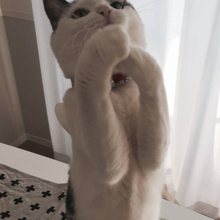 Dec006db d0f2 4396 a907 881b7123234f