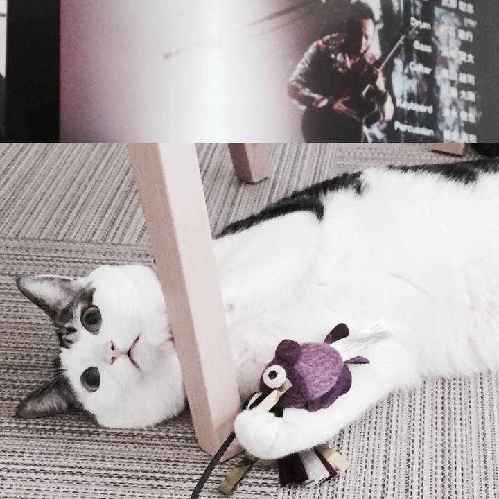 Dec009e1 95df 4fd5 9679 b916646757c4