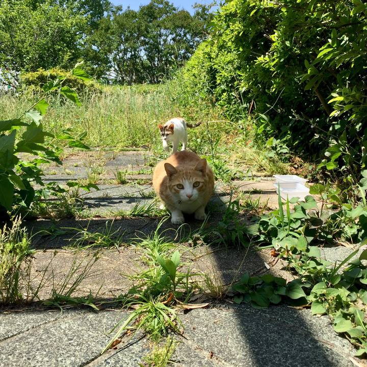 Dec07e4f 525a 4f8e b057 8c7512631397