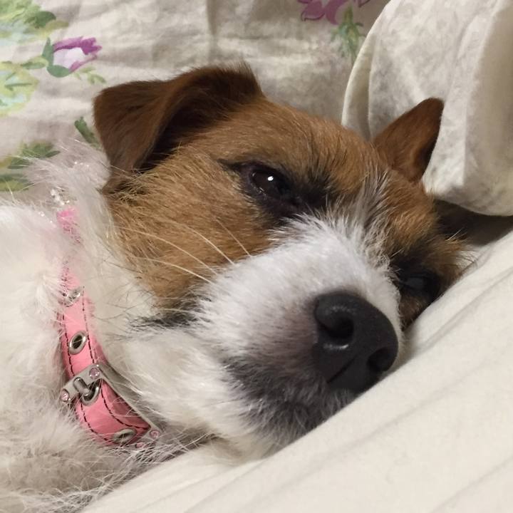 Dec15257 f902 44d4 ab74 5b196ed70ae3