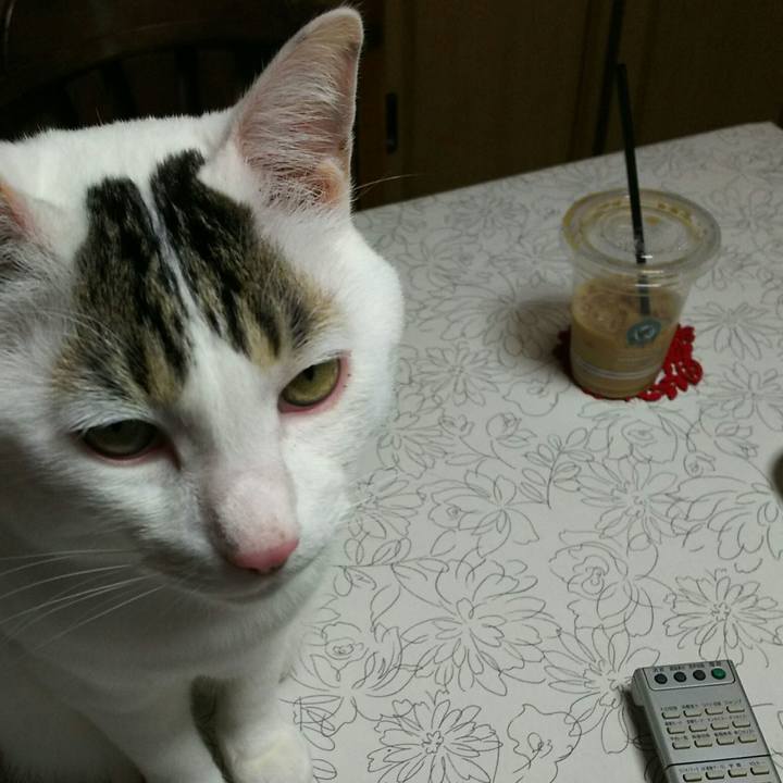 Dec15c2c ec59 4143 a021 c4352b03d483