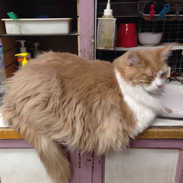 Dec2575c f2a3 4f92 a57b 3171f9e42039