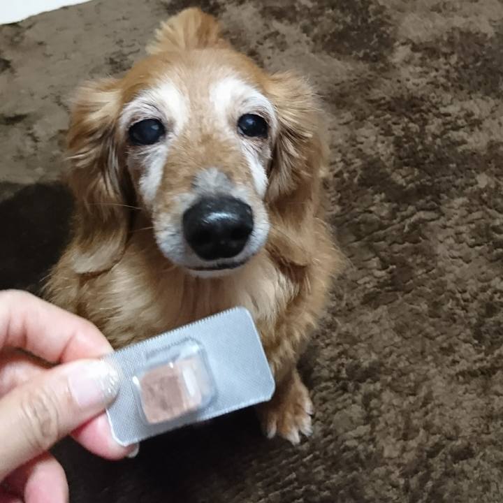 Dec32dcb 7d9d 4a29 8828 5d1809ac7f49