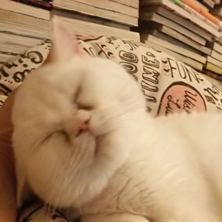 Dec32f65 03e2 4916 b70b 77f0da2511af