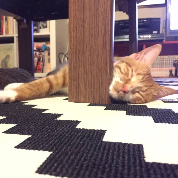 Dec362ef 817d 4ef4 9d6e 4157978ed82e