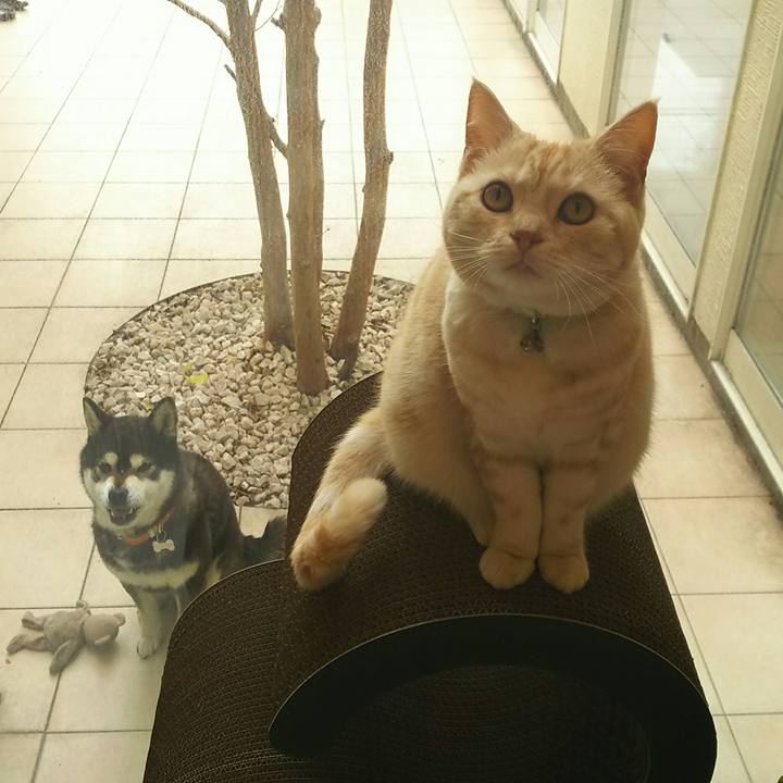 Dec5840f ea11 4d0f 8165 de1661148981