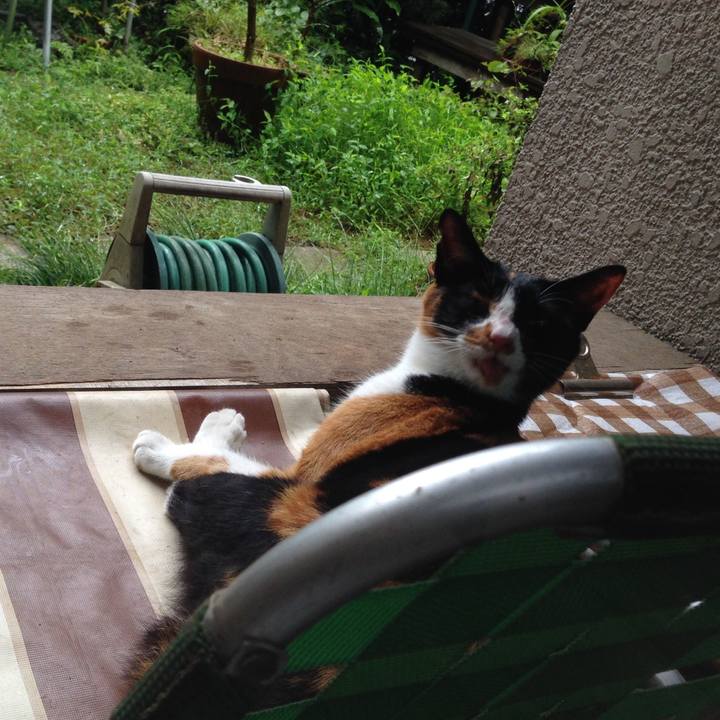 Dec659f5 8f34 432a bb65 df0814ce7eb8