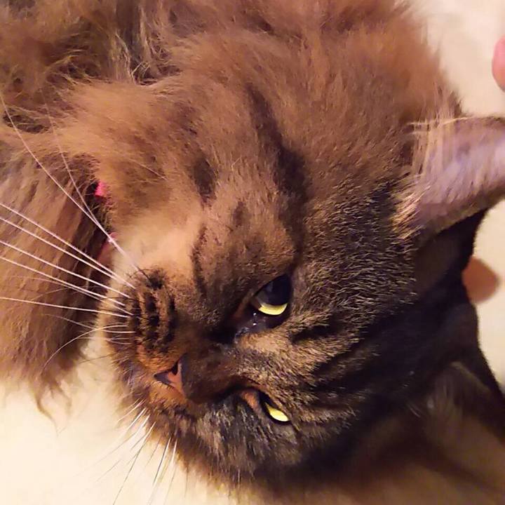 Dec6b072 92ca 4990 9a81 62f27b498434