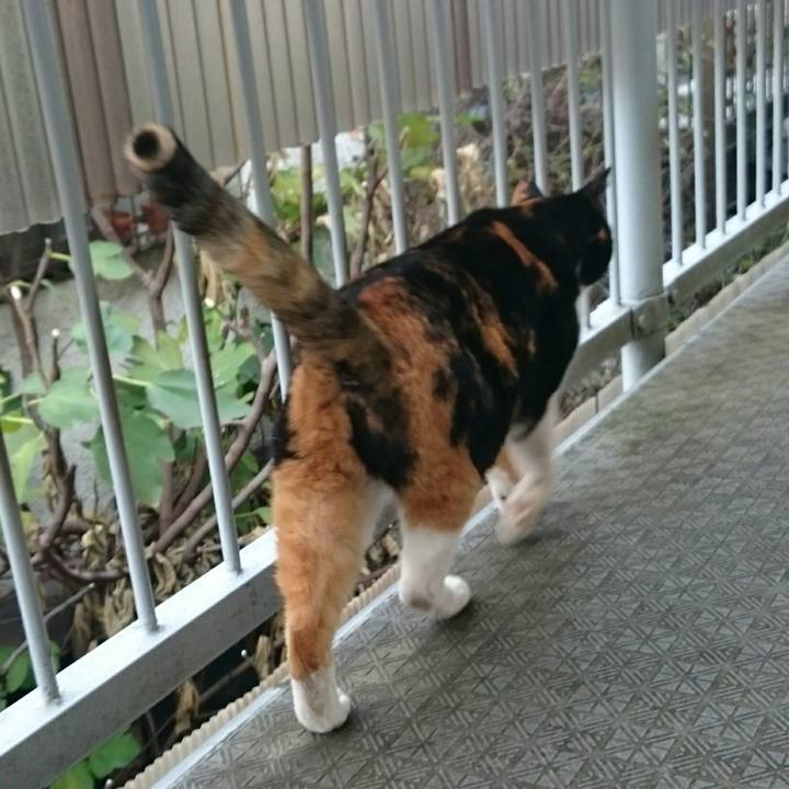 Dec6ee16 582b 4798 8638 0a6948b2ae74