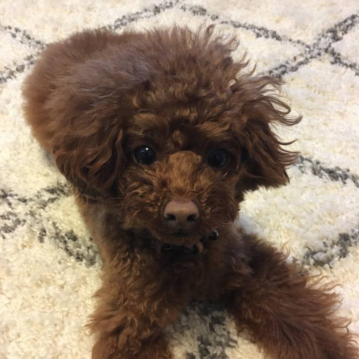 Dec70f9b 269c 46f5 8979 fcfd52182959