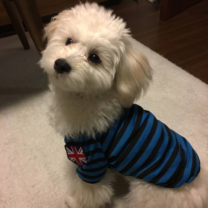 Dec78a6f bb52 46cd 99d2 95571d20ea89