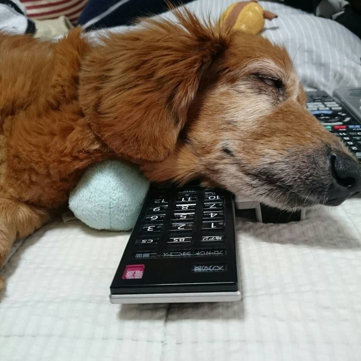 Dec85454 bf88 4760 871e a2c85ec091f5