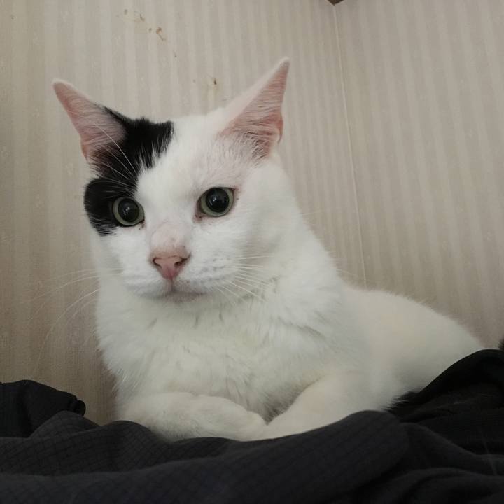 Dec9f50a 492d 49a9 8a03 77f2e866f112