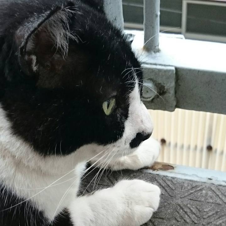 Decaa51e f8f5 41cb 96c7 e4eaf86dcd76