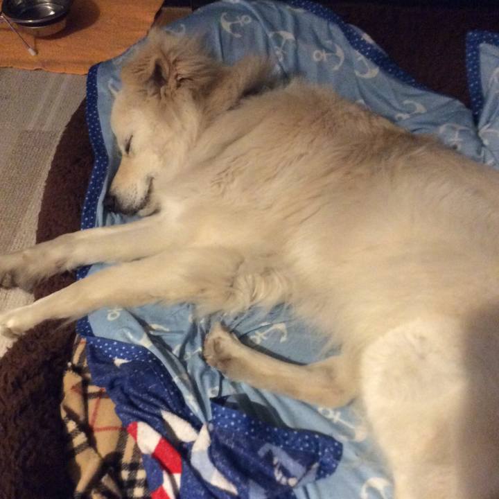 Decb6549 6d2f 493e b3cd 7d17b463ded2