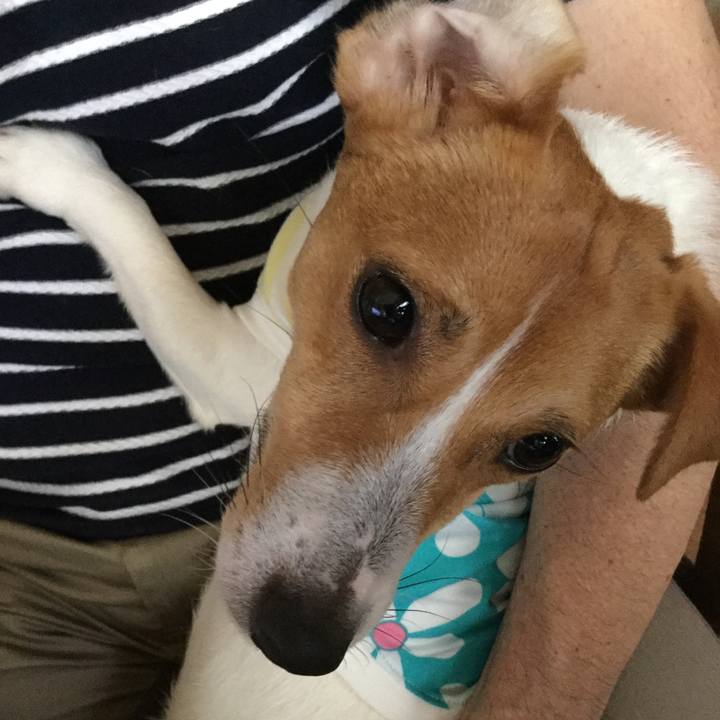 Decc41b6 85fd 4464 acb5 a8225e96db70