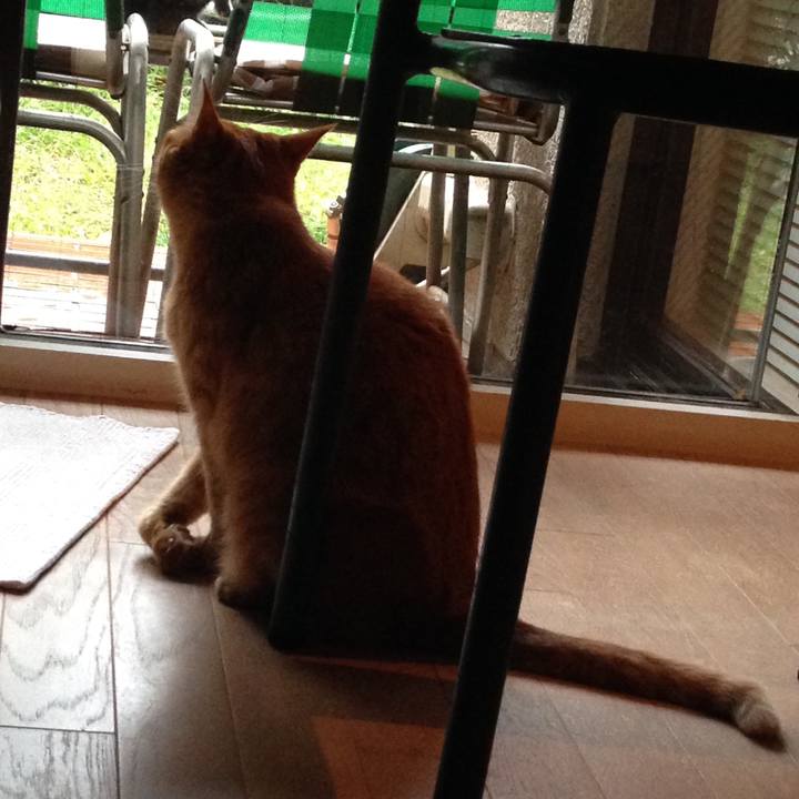 Decc44df ce21 4006 b840 fd05e3746b82