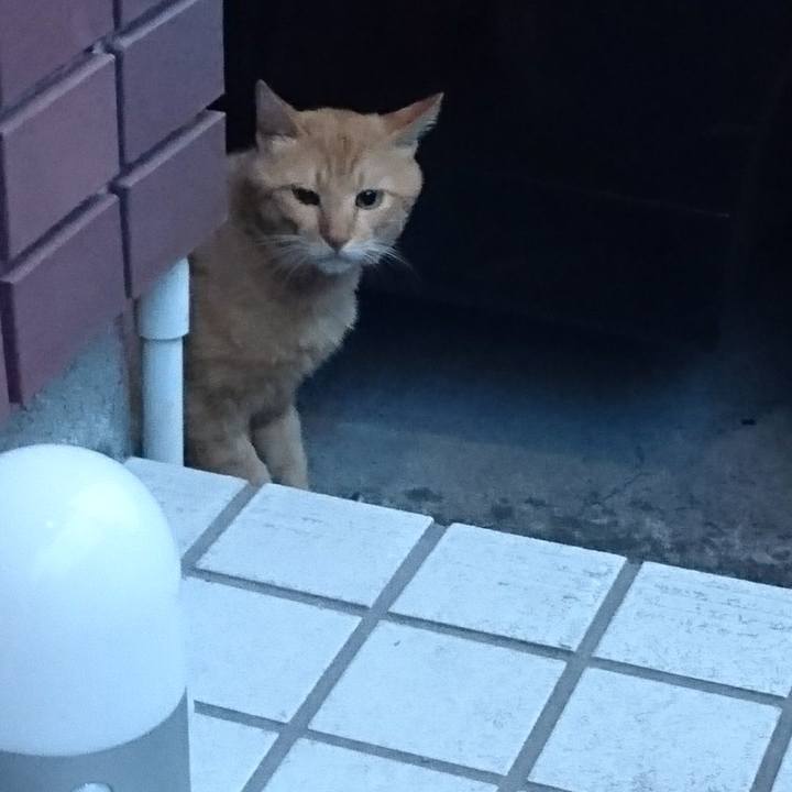 Decc6187 b704 47a5 bfbd 1b0db0b07bd7