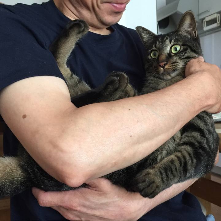 Decc75a7 246f 470e 9bd7 557a3a6d6bc2