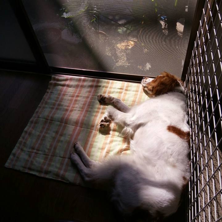 Deccbd87 c556 419f 8b72 65c28ce51c39