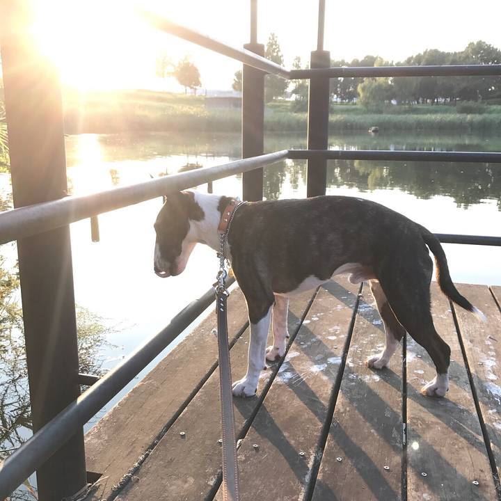 Decd4b9c f2a6 48fd a6d9 2c87533c90ab