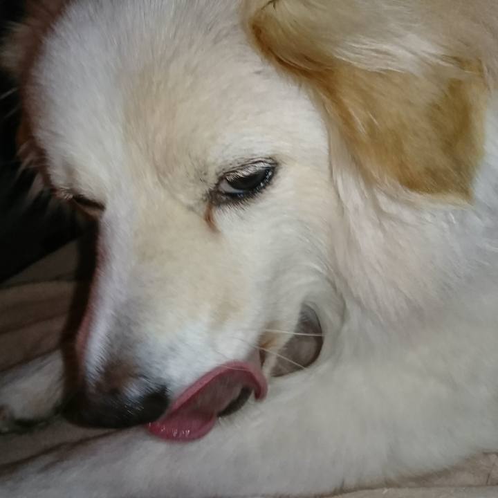 Decdb954 5849 4e59 b26f 88025af46ffd