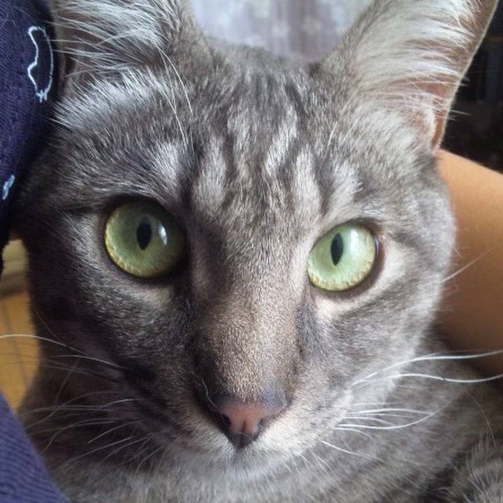 Decdd17f 5e57 43a1 a0a1 8ae0b065c713