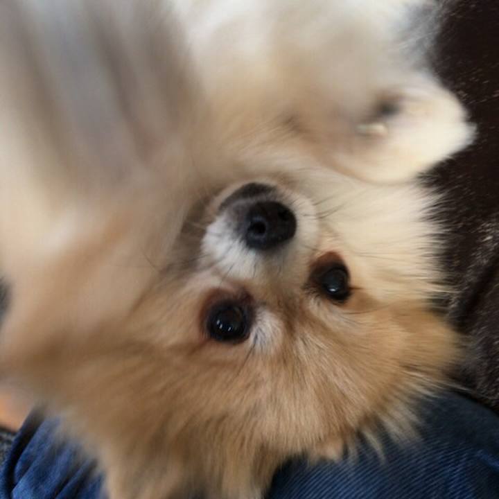 Dece23c8 7e7b 4c4a a89a 0fa23ce10cba