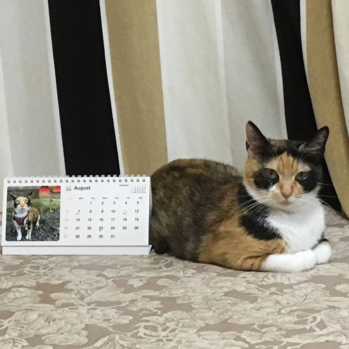 Dece5015 6731 4383 b4eb 63c3bafda8dc