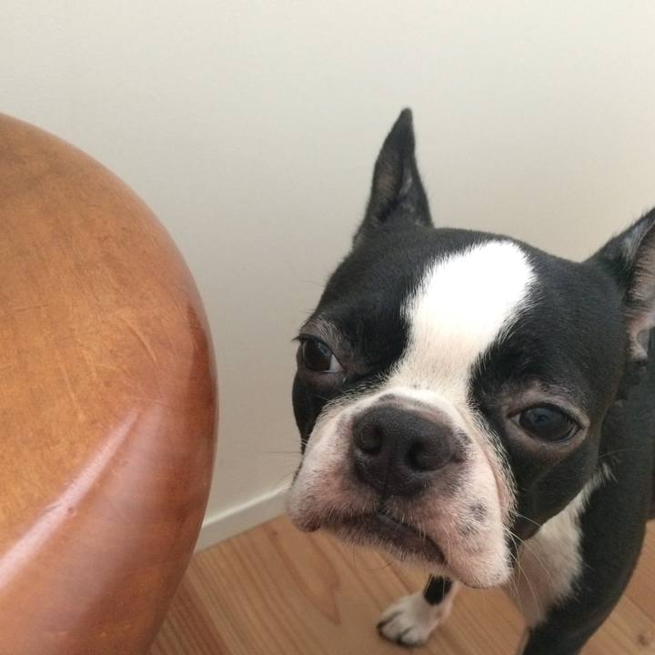 Decea1de 0318 4075 9560 54c2e6769b07